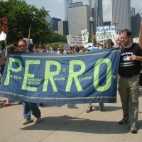 Support PERRO