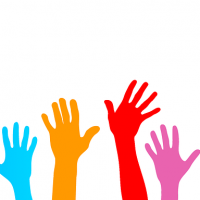 Volunteer for PERRO